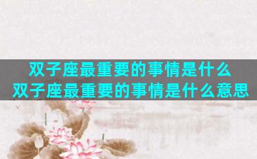 双子座最重要的事情是什么 双子座最重要的事情是什么意思